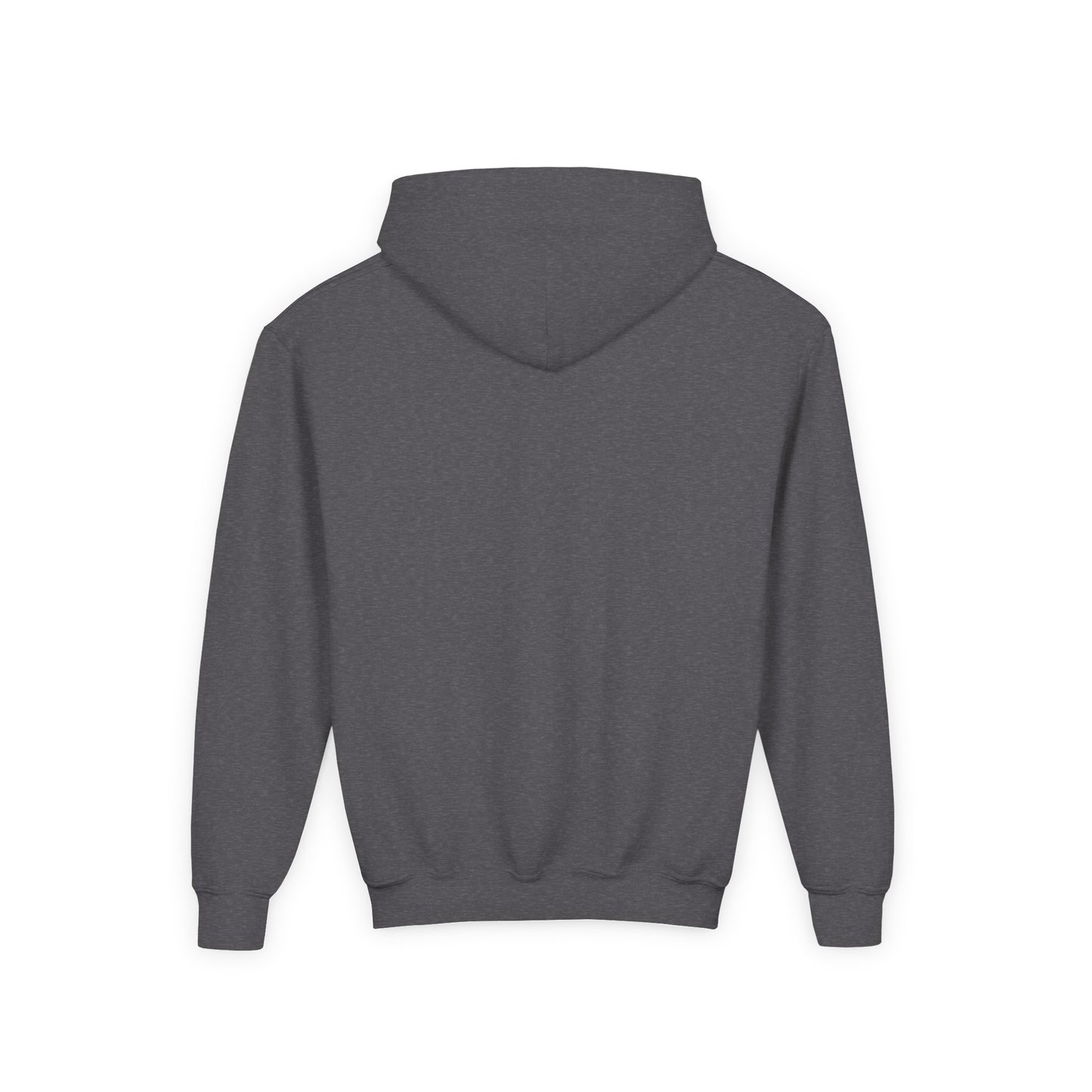 Adversity Athletes Lion Youth Hoodie
