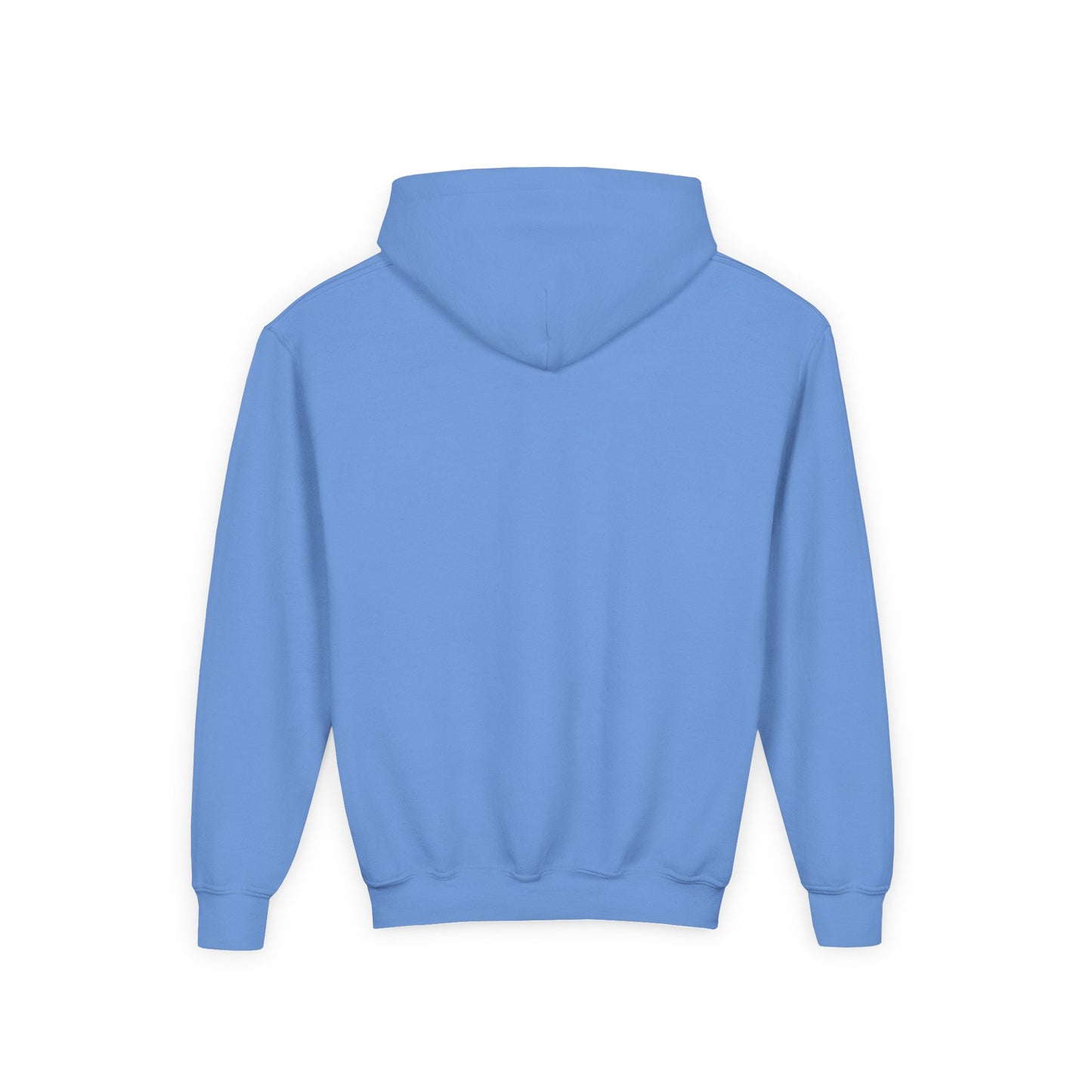 Adversity Athletes Lion Youth Hoodie