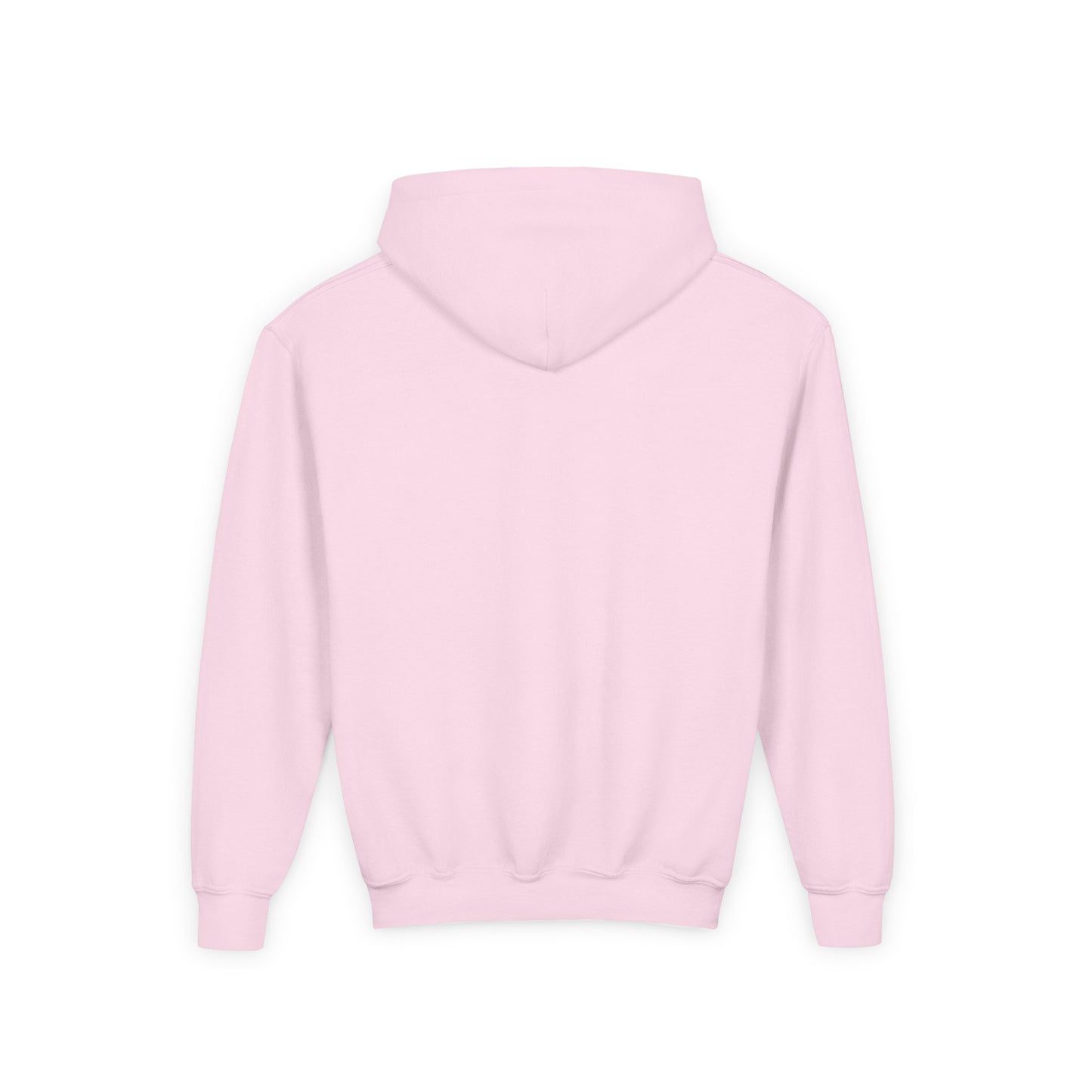 Court Evolution Sideline Youth Hoodie
