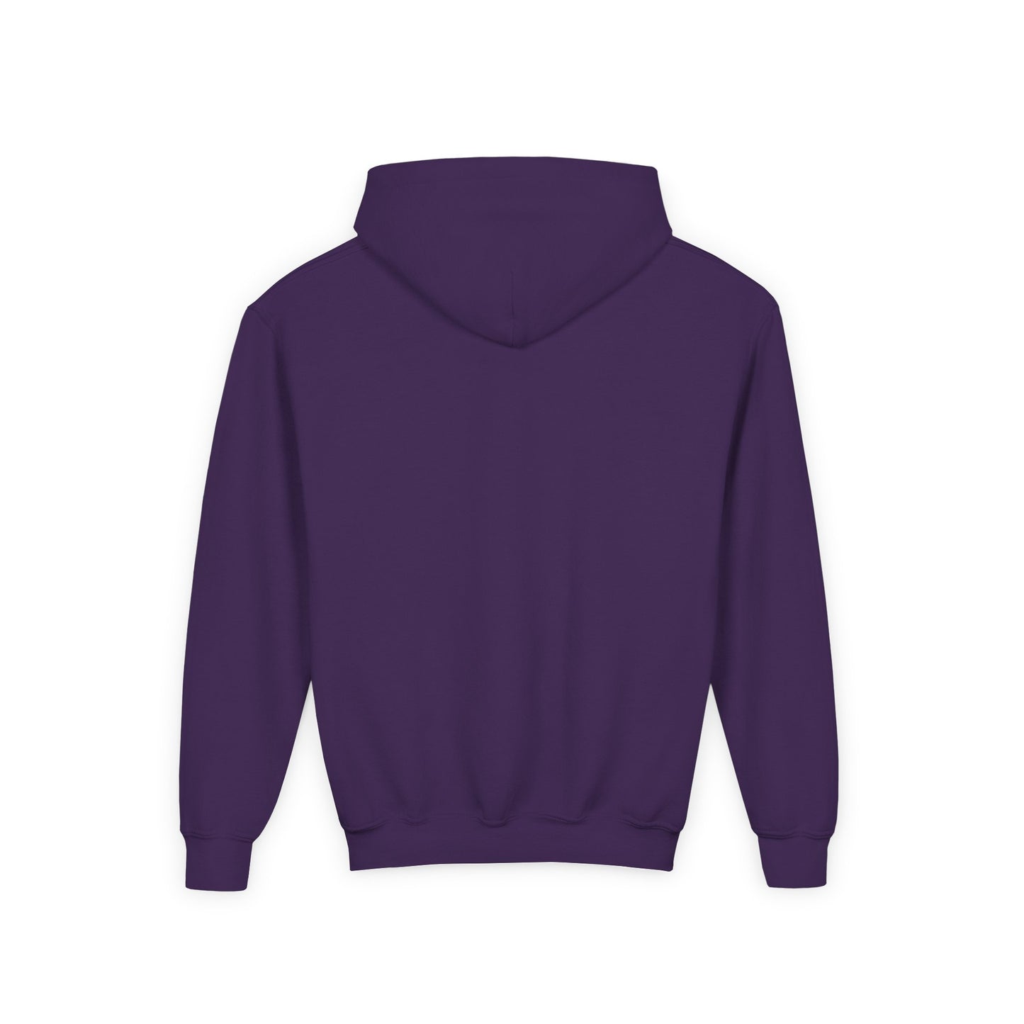 Adversity Athletes Lion Youth Hoodie