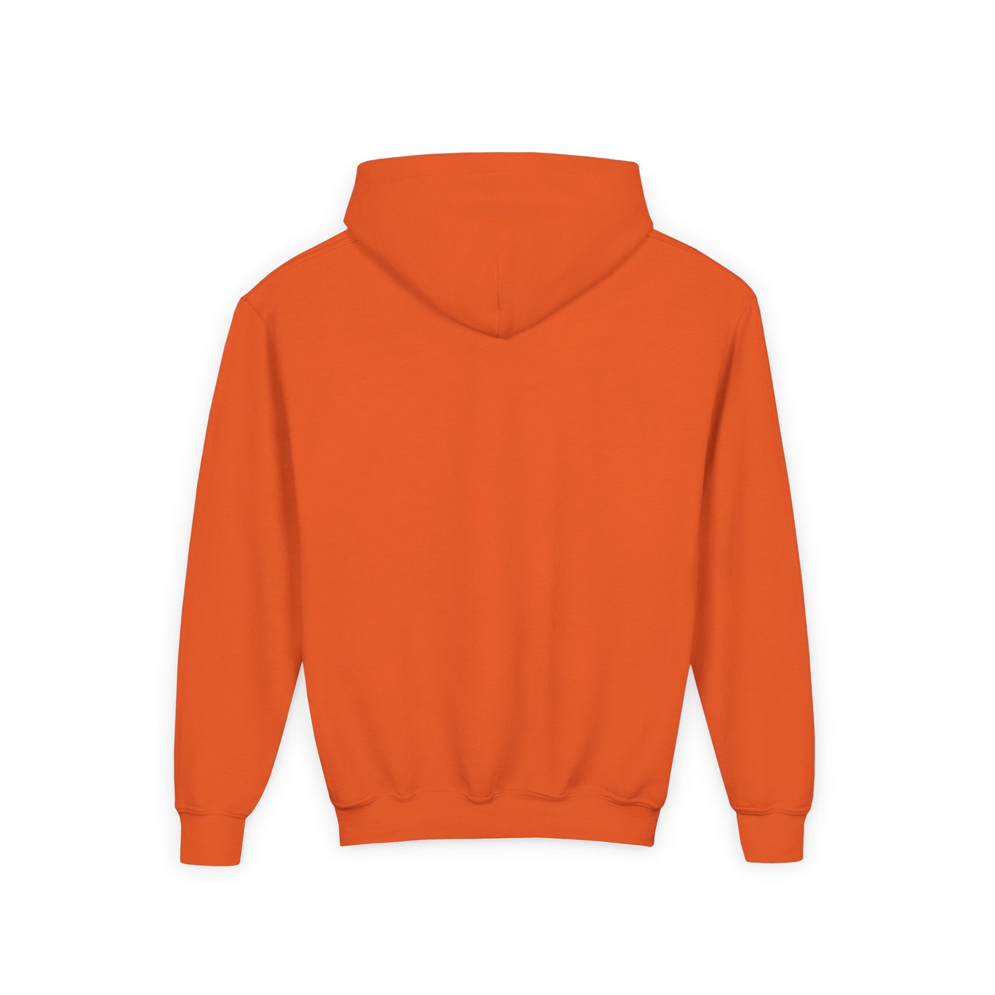Adversity Athletes Lion Youth Hoodie