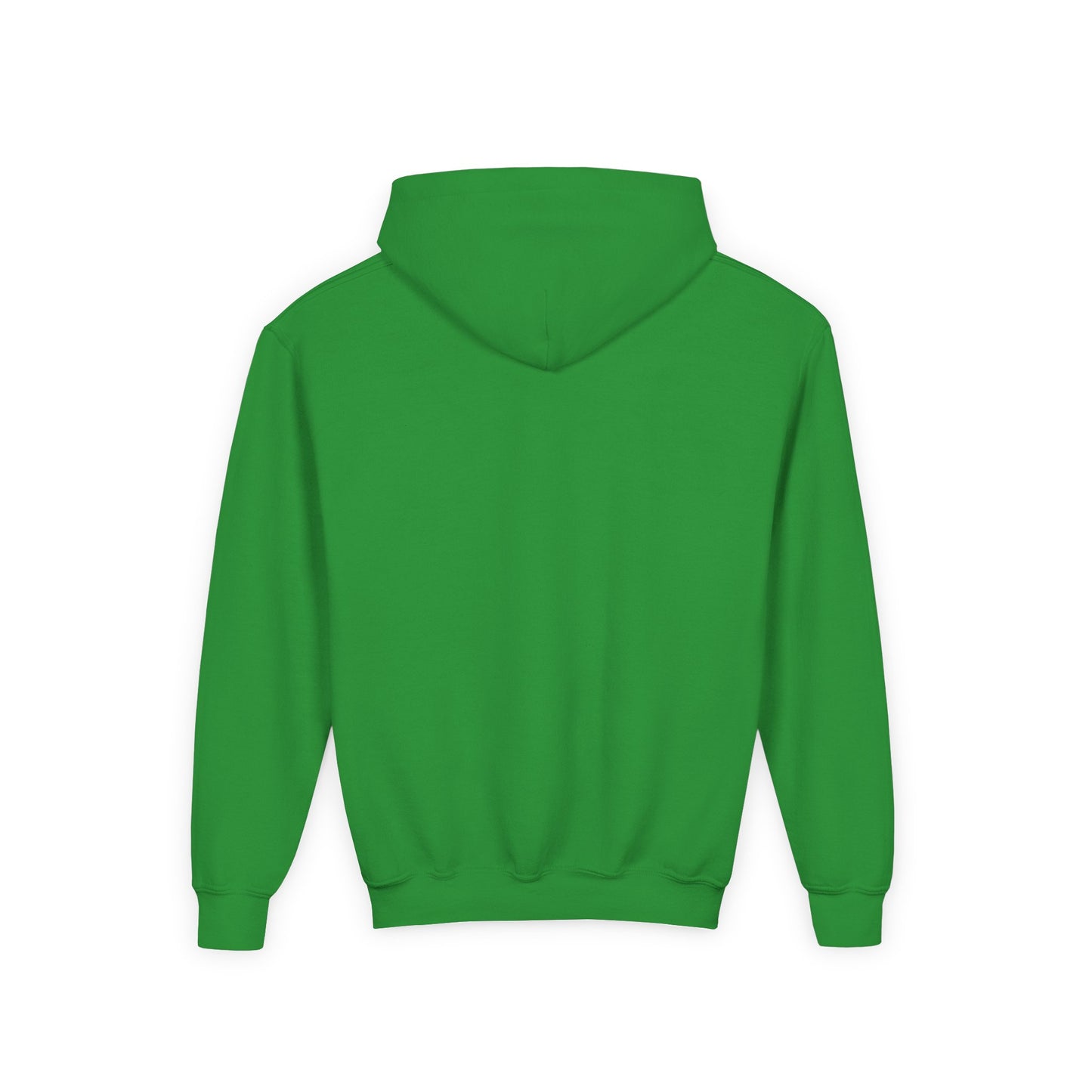 Adversity Athletes Lion Youth Hoodie