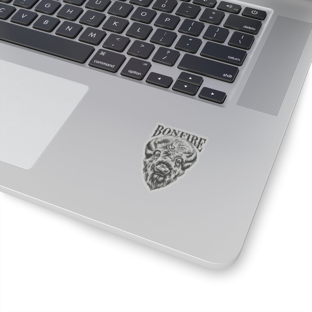 Bonfire Bison Sticker