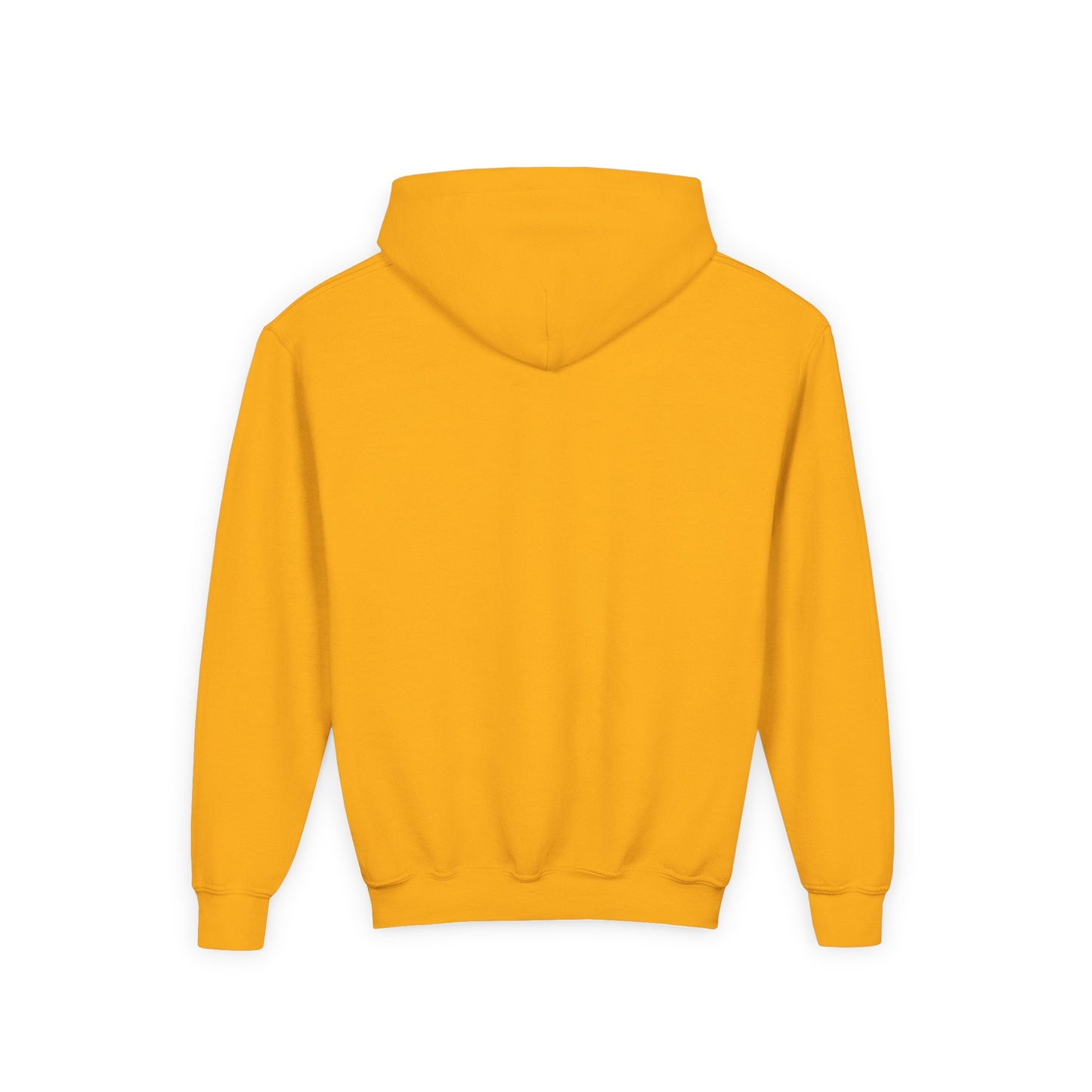 Court Evolution Sideline Youth Hoodie