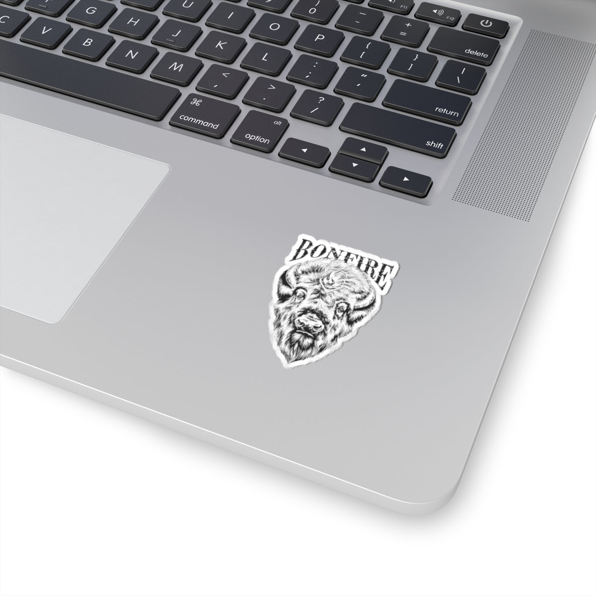 Bonfire Bison Sticker
