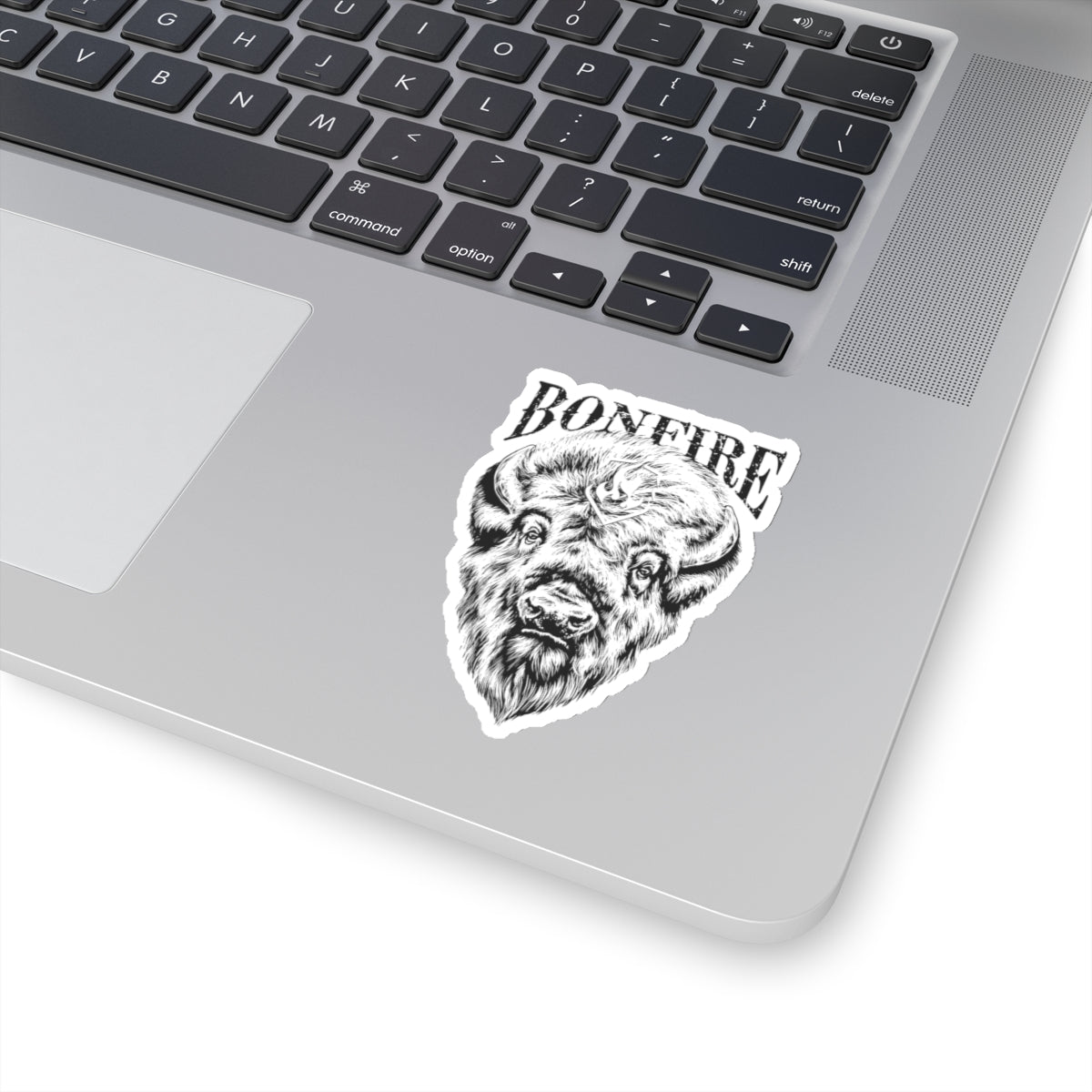 Bonfire Bison Sticker