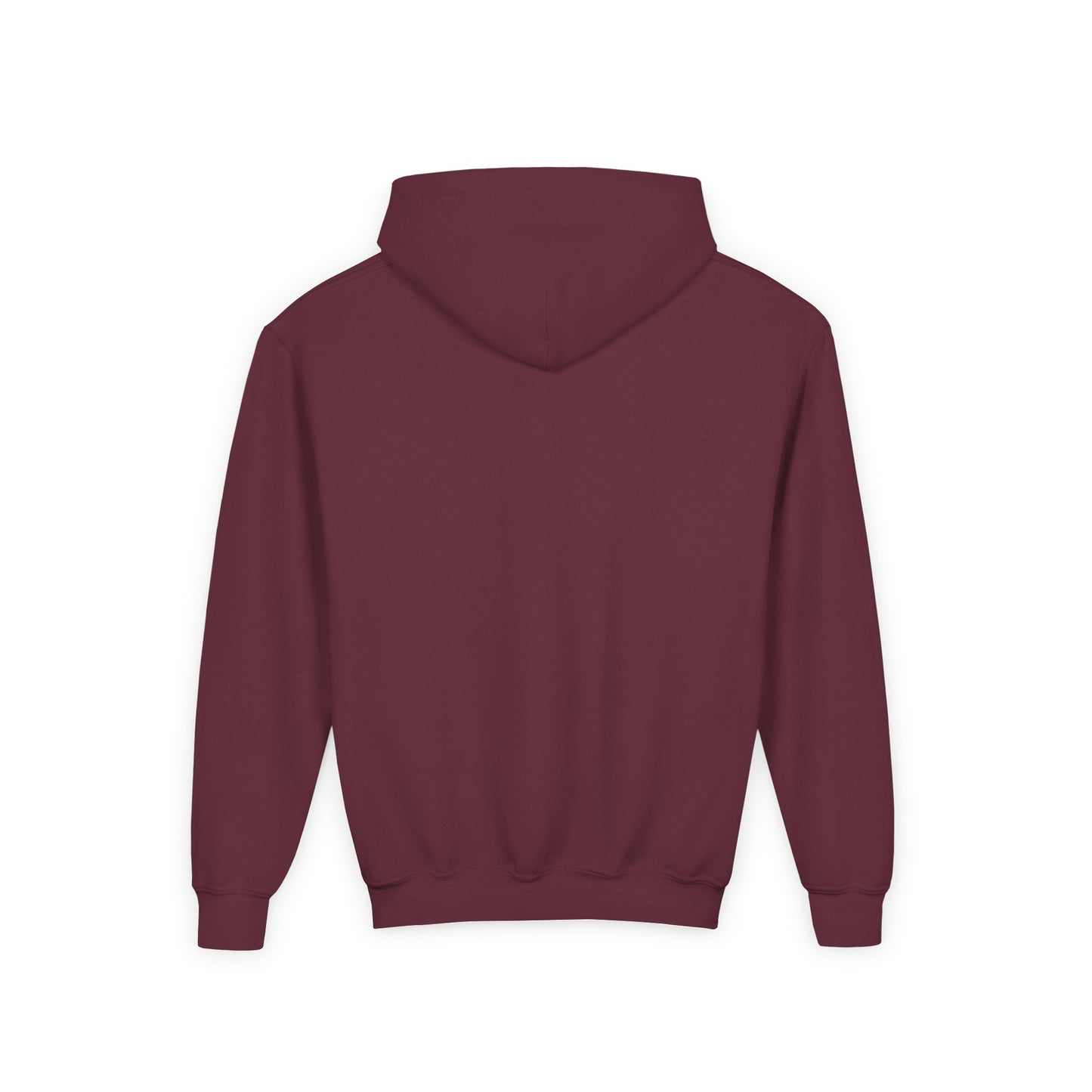 Court Evolution Sideline Youth Hoodie