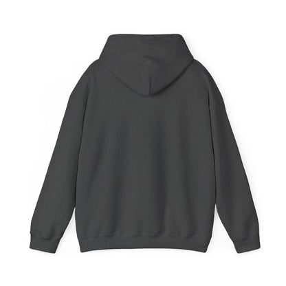 TE Heavy Blend™ Hooded Sweatshirt