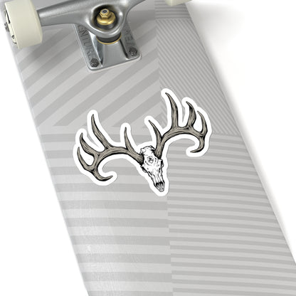 Whitetail Skull Sticker