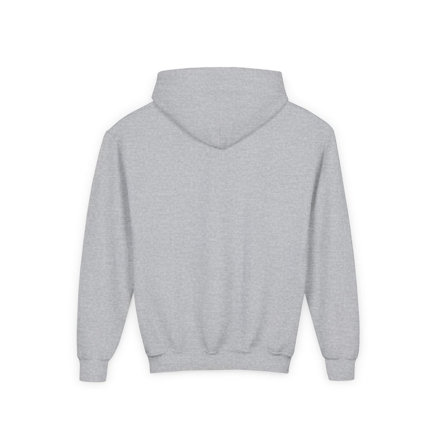 Court Evolution Icon Youth Hoodie