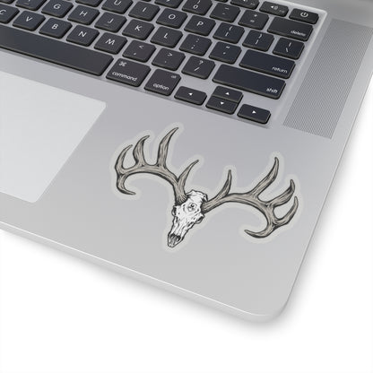 Whitetail Skull Sticker