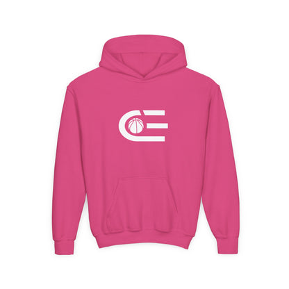 Court Evolution Icon Youth Hoodie