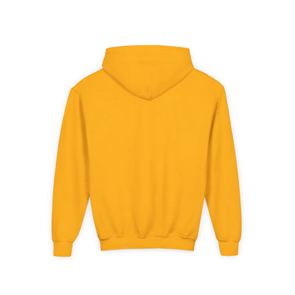 Court Evolution Icon Youth Hoodie