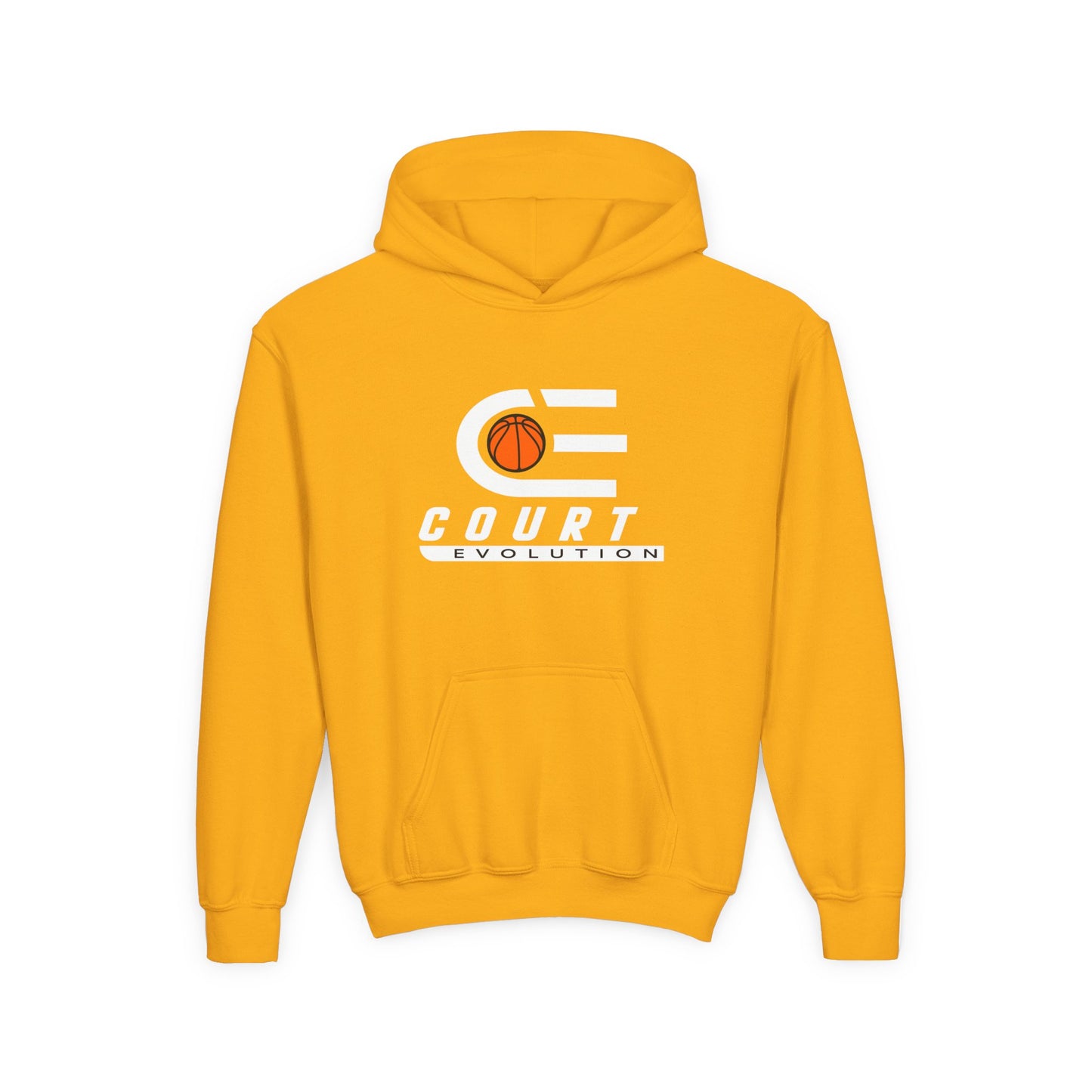 Court Evolution Logo Youth Hoodie