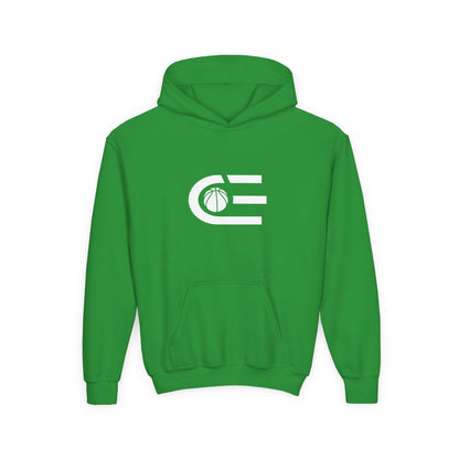 Court Evolution Icon Youth Hoodie