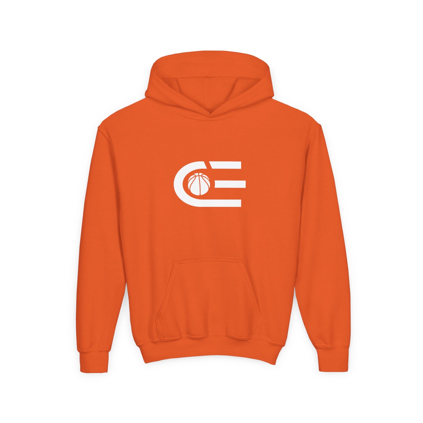 Court Evolution Icon Youth Hoodie